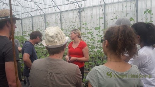 Dr. Barbara Pipan explaining how they breed common bean at AIS