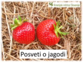 Posveti o jagodi skozi čas