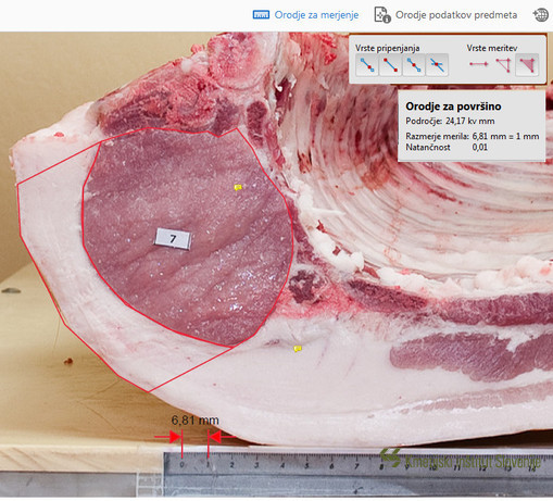 Measurement of Longissimus muscle area and fat above Longissimus muscle area