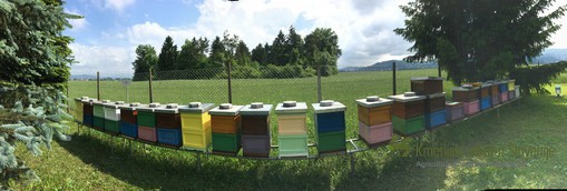 apiary