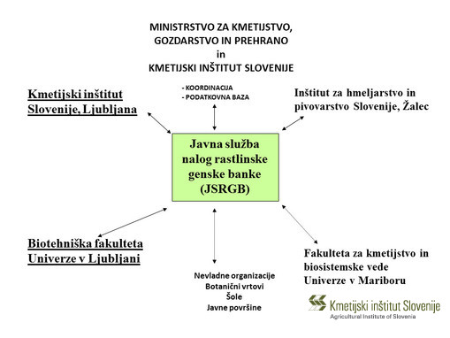 Shematični prikaz JSRGB