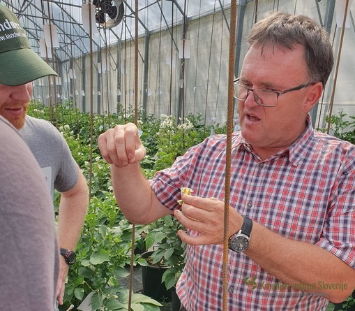 Dr. Peter Dolničar presenting the potato breeding at AIS