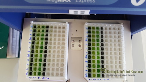 Izolacija DNA na robotu za ekstrakcijo nukleinskih kislin