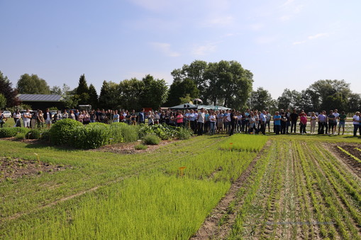 Za urejenost njiv in vrtov skrbijo sodelavci SPC Ptuj