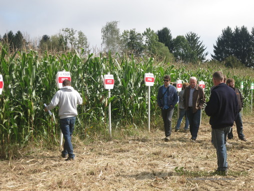 Dan koruze 2019 - Jablje