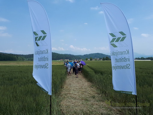 Poskusno polje IC Jablje 2019