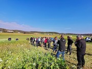 Voden ogled preizkušanih rastlin v poskusu 