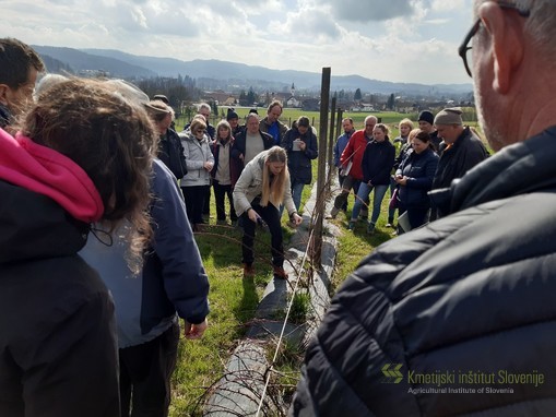 Rez jagodičja, dr. Nika Cvelbar Weber, 2. 3. 2024, IC Brdo