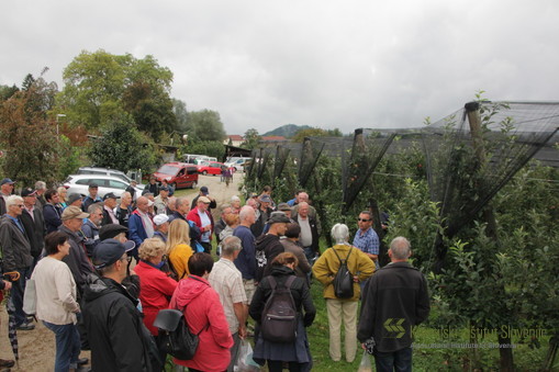 Strokovni vodeni ogled sadovnjaka