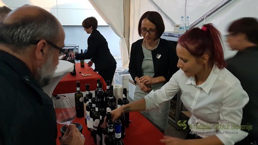 Degustacija vin