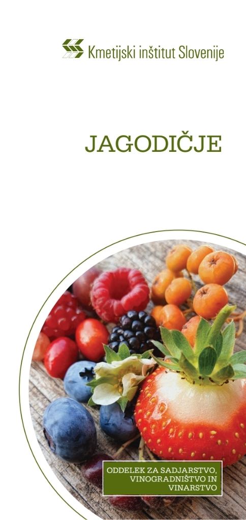 Jagodičje