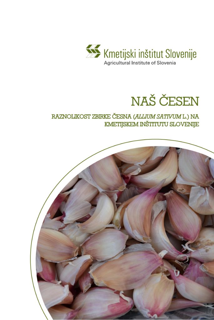 Naš česen : Our garlic