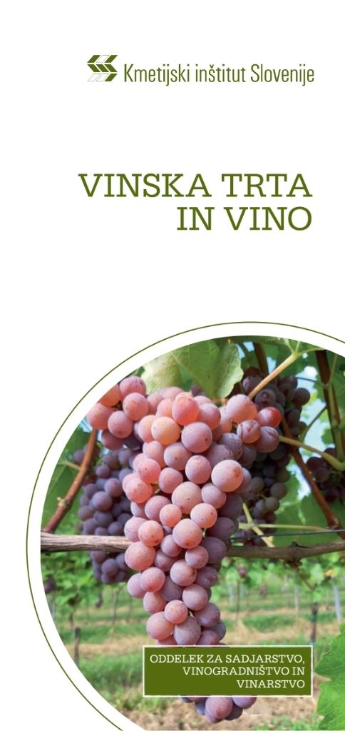 Vinska trta in vino