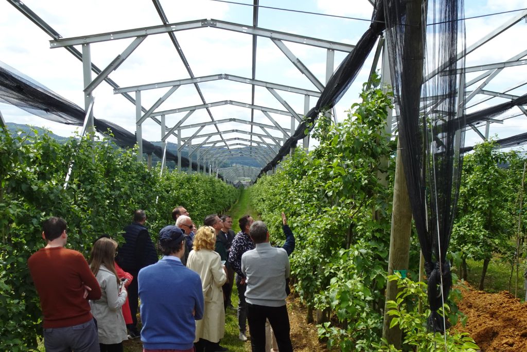 KIS_agrovoltaika_Brdo_4 Pilotni projekt agrovoltaike v poskusnem sadovnjaku Kmetijskega inštituta Slovenije na Brdu pri Lukovici