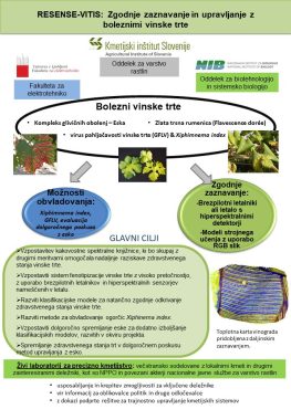 Povzetek projekta Zgodnje zaznavanje in upravljanje z boleznimi vinske trte
