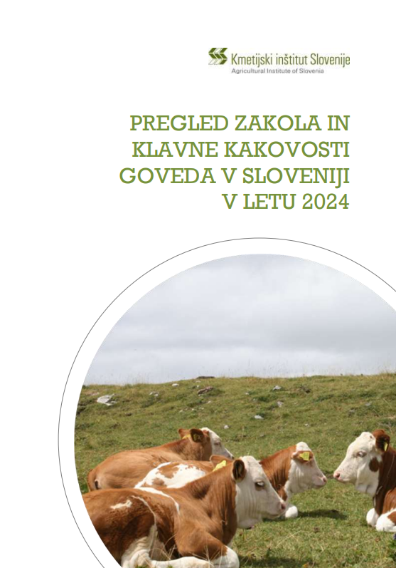 Pregled zakola in klavne kakovosti goveda v Slovenijiv letu 2024