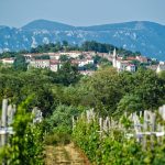 AGROTUR+ Kraški lokalni produkti in turizem