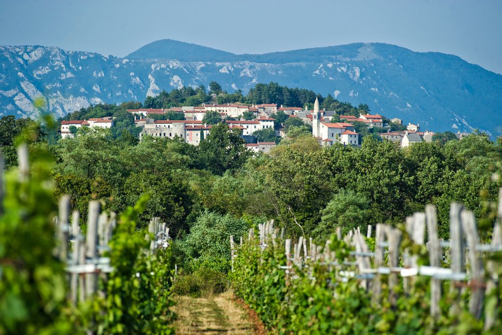 AGROTUR+ Kraški lokalni produkti in turizem