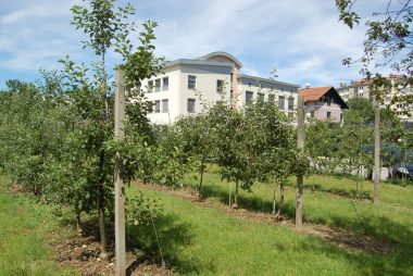 Kmetijski inštitut Slovenije