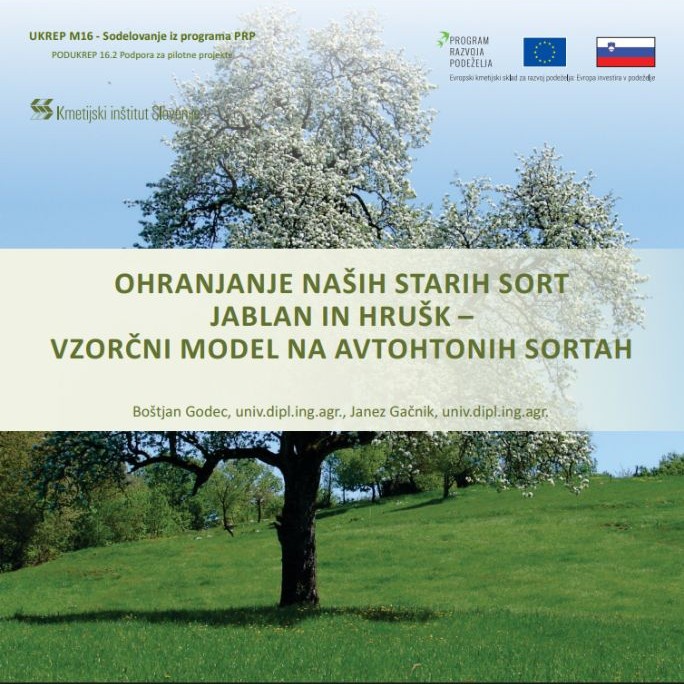Ohranjanje naših starih sort jablan in hrušk – vzorčni model na avtohtonih sortah