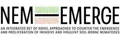 NEM-EMERGE logotip