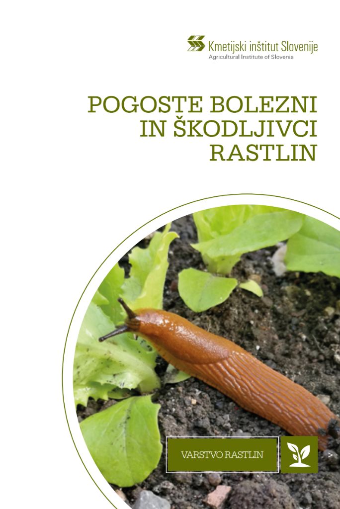 Pogoste bolezni in škodljivci rastlin