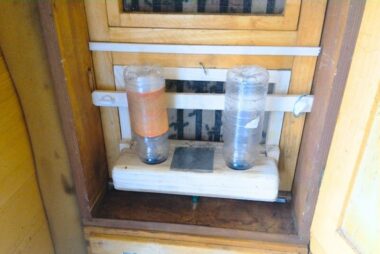 Krmljenje čebeljih družin